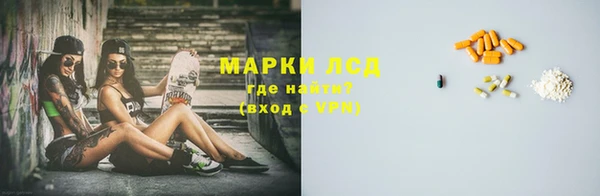 прущие грибы Алзамай