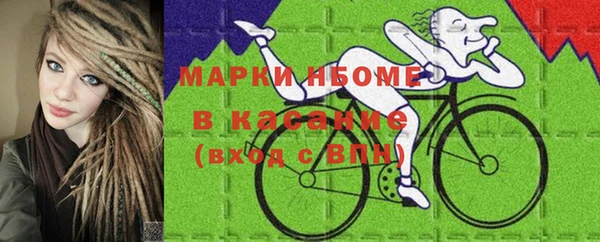 прущие грибы Алзамай