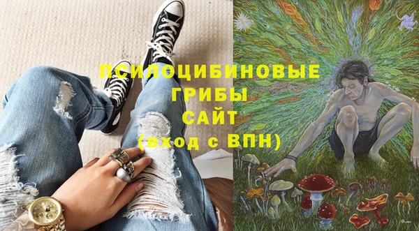 мдпв Навашино
