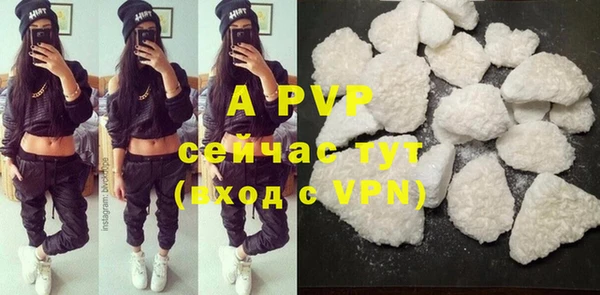 шишки Арсеньев