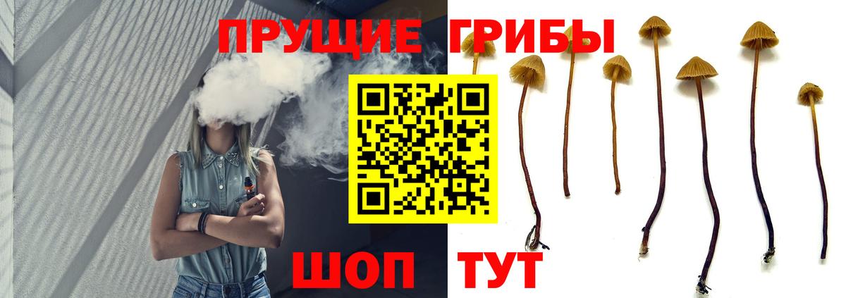Псилоцибиновые грибы Psilocybine cubensis  Вход с VPN  Новомосковск 